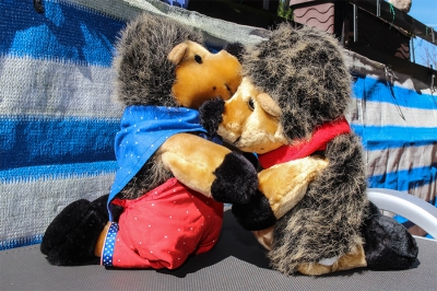 Frau Igel kehrt zurück_1