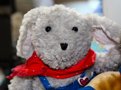 Hase und Igel Portraitbilder_2